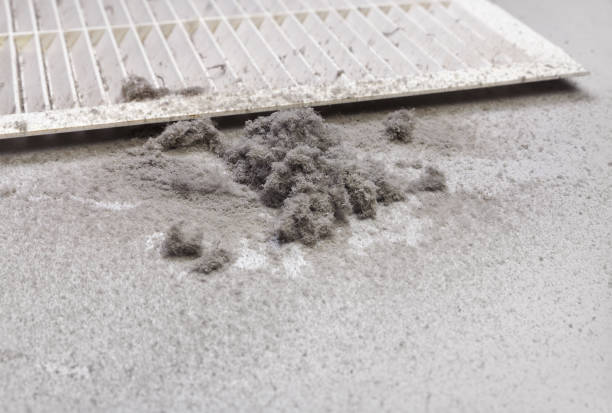 Best Air Duct Mold Removal  in Freedom, PA