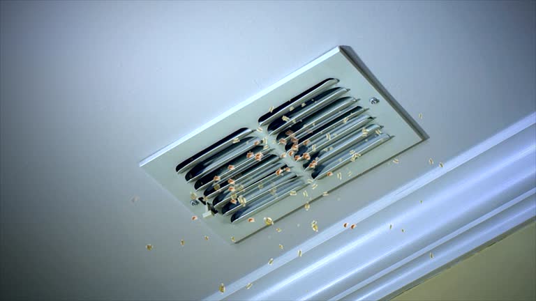 Best HVAC Duct Inspection Services  in Freedom, PA